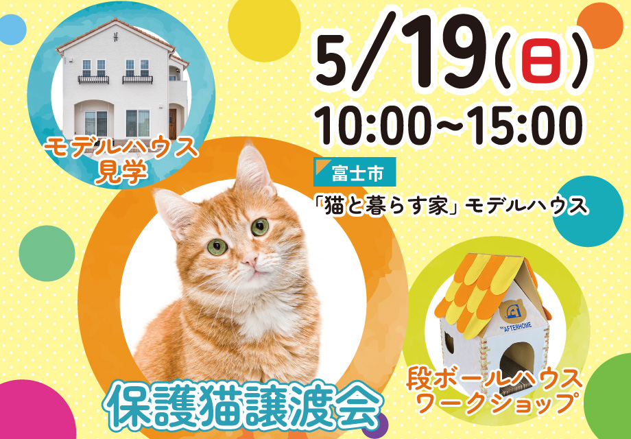 保護猫の譲渡会・モデルハウス見学会を開催