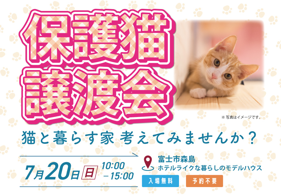 保護猫の譲渡会|モデルハウス見学会&住宅相談会|特典あり|富士市